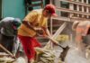ONU busca que México asuma programa de empleo para migrantes refugiados Migrantes con empleo