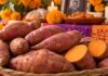 Escasez de yuca y alza en el precio del camote presionan la economía familiar rumbo al Hanal Pixán Escasez de alimentos tradicionales