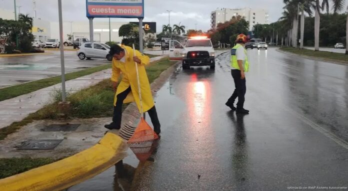 Estefanía Mercado Operativo Tormenta