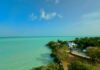 Buscan abrir el Santuario del Manatí al ecoturismo en Chetumal Manatí antillano