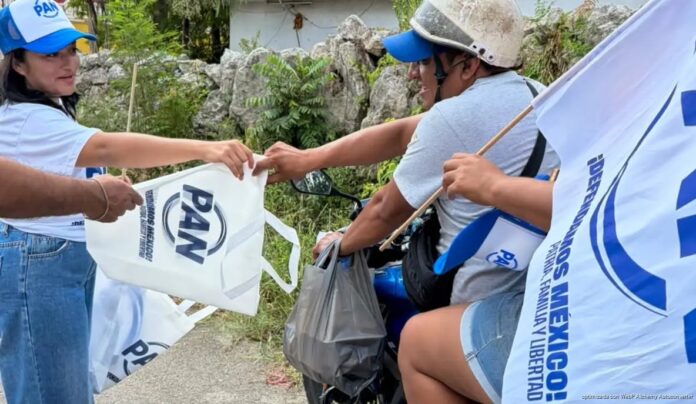 PAN encuestas perfiles electorales