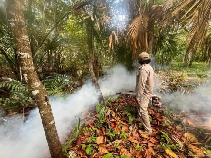 Criaderos de mosquitos