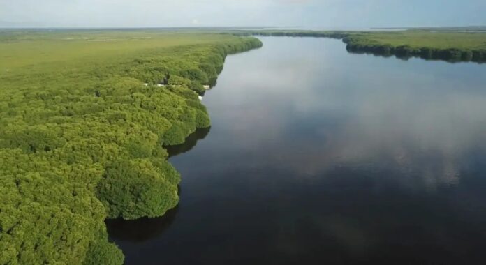 Protección ambiental de lagunas
