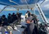 Buceadores buscan distintivo para servicios autorizados en Playa del Carmen Buceo con tiburón toro