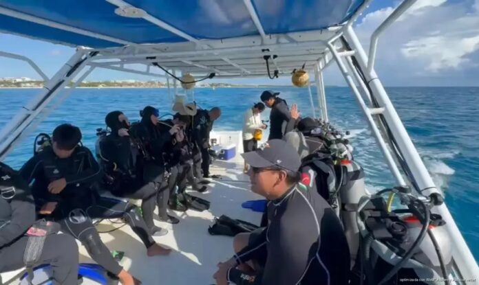 Buceo con tiburón toro